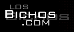 losbichos.com